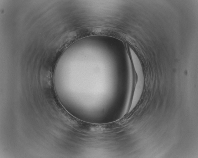 X0000088570470200706081102