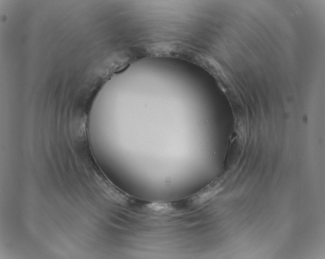 X0000088570477200706081102