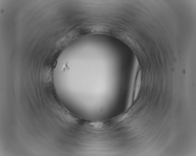 X0000088570478200706081102