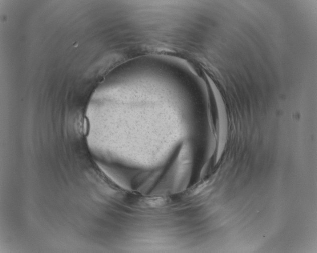X0000088570479200706081102