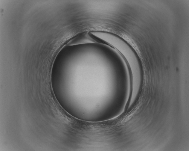 X0000088570481200706081102