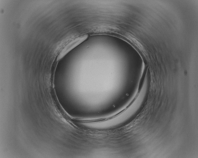 X0000088570485200706081102