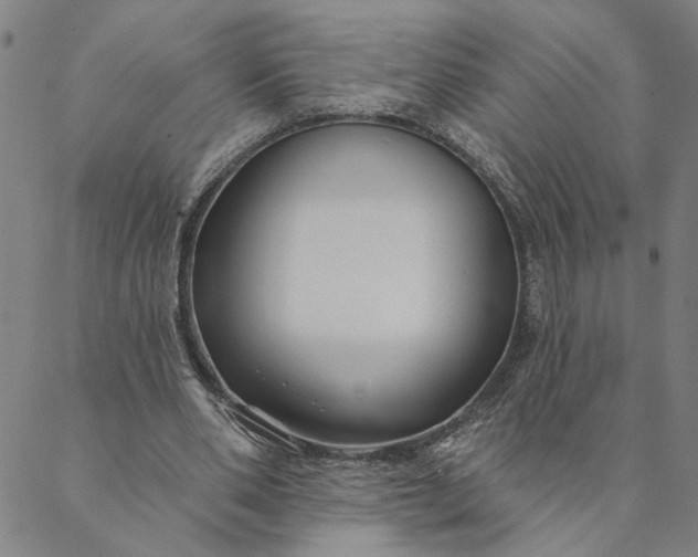 X0000088570486200706081102