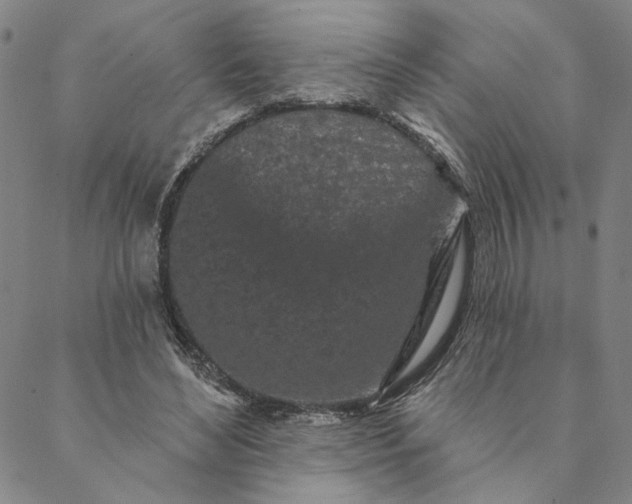 X0000088570492200706081101