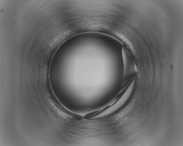 X0000088570493200706081101