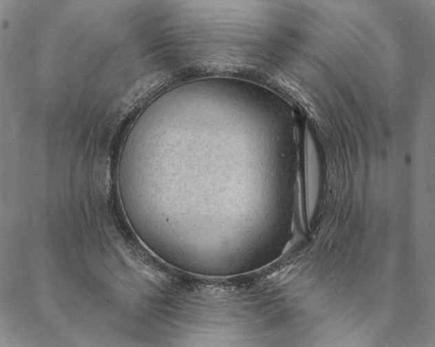X0000088570494200706081101