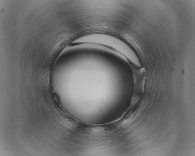 X0000088570501200706081101