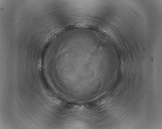X0000088570502200706081101