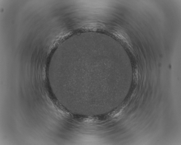 X0000088570504200706081101