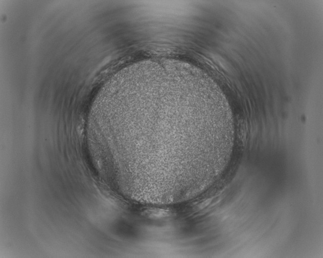 X0000088570507200706081101