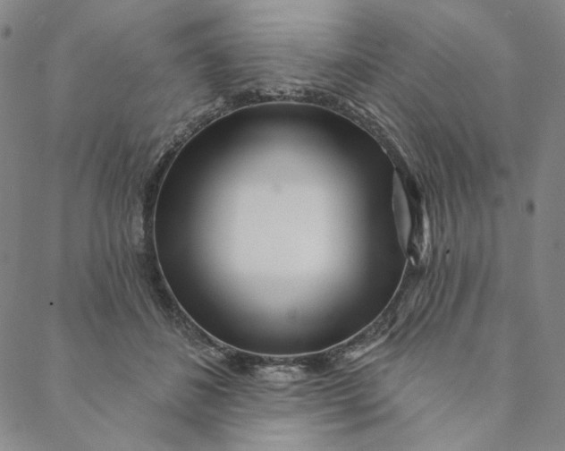 X0000088570508200706081101