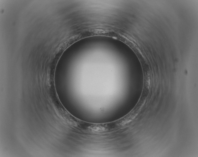 X0000088570512200706081101