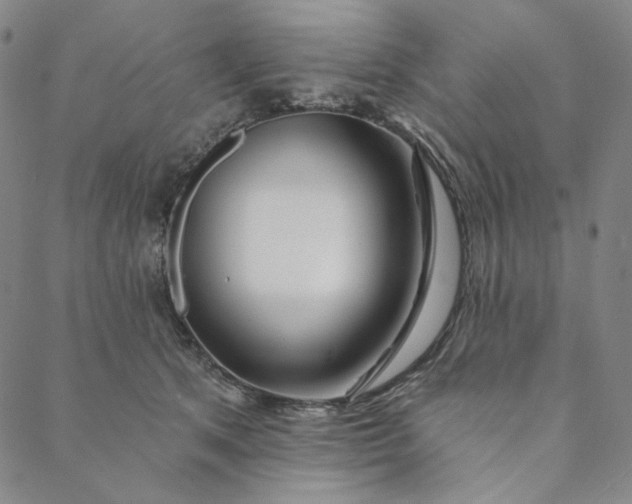 X0000088570513200706081101