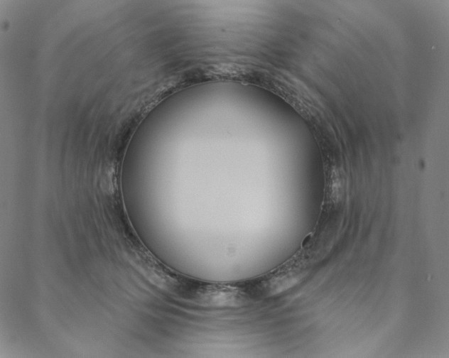 X0000088570514200706081101