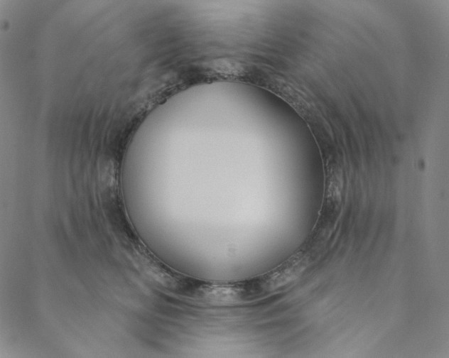X0000088570518200706081101