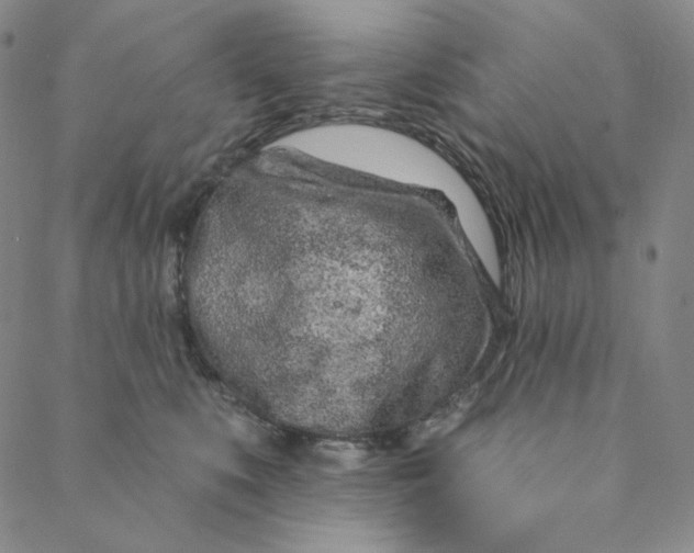 X0000088570519200706081101