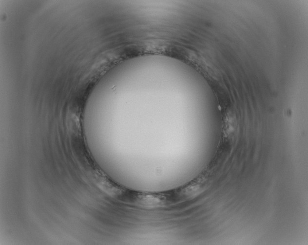 X0000088570522200706081101