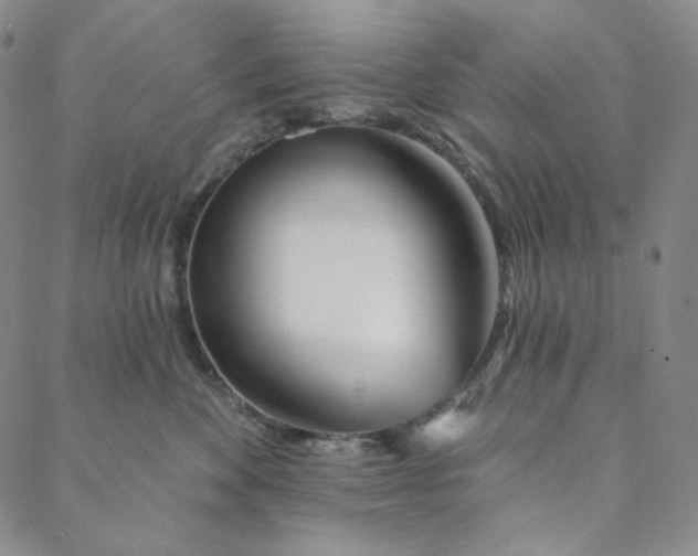 X0000088570524200706081101