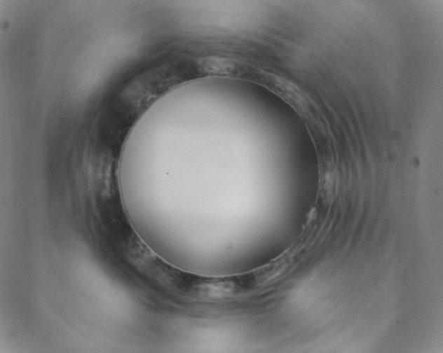 X0000088570525200706081101