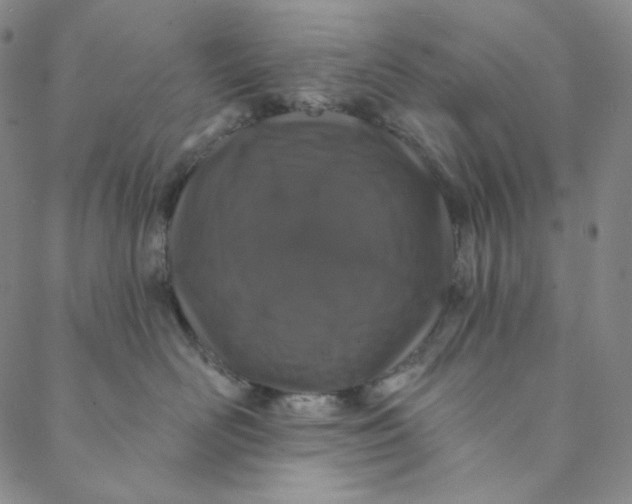 X0000088570526200706081101