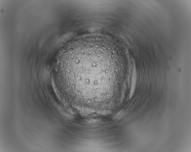 X0000088570527200706081101