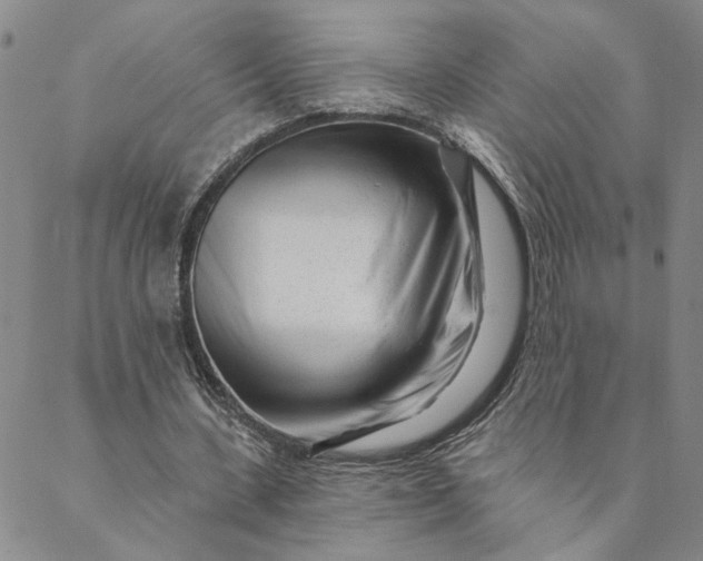 X0000088570531200706081100