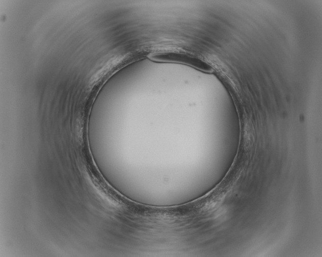 X0000088570533200706081100