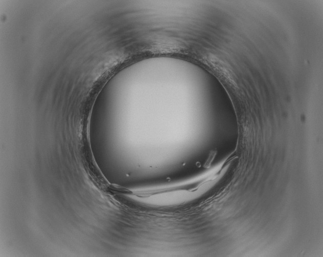 X0000088570539200706081100