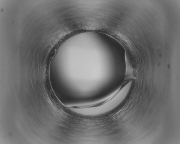 X0000088570540200706081100
