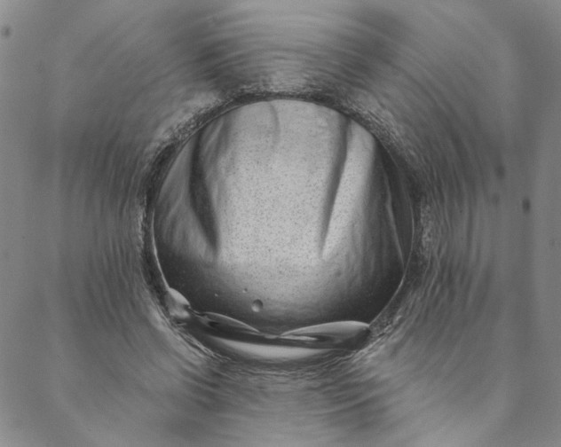 X0000088570542200706081100