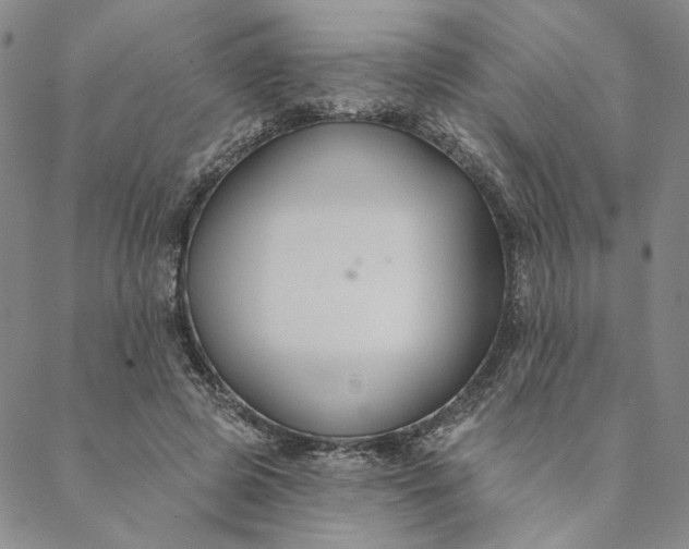 X0000088570545200706081100