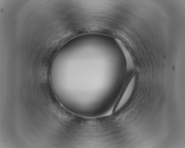 X0000088570546200706081100