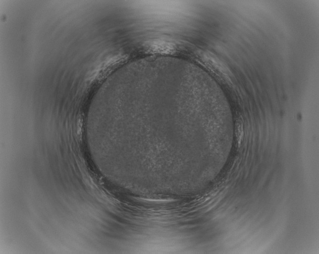 X0000088570551200706081100