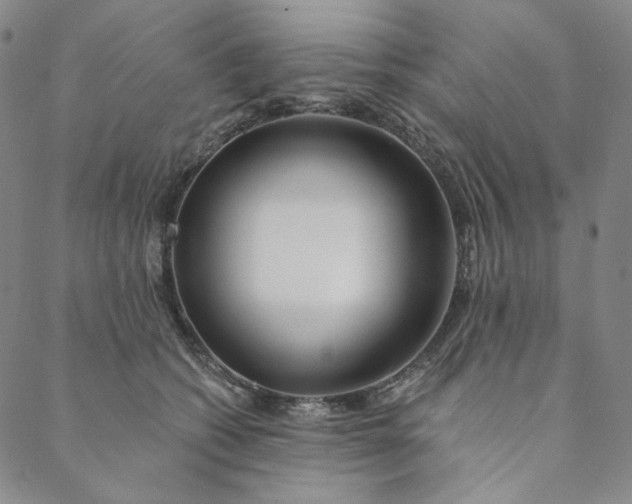 X0000088570562200706081101