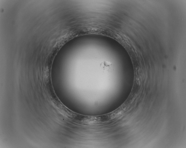 X0000088570563200706081101