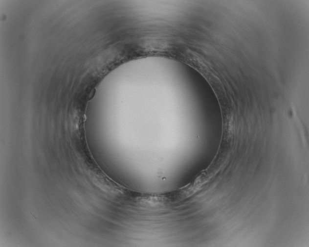X0000088570567200706081101