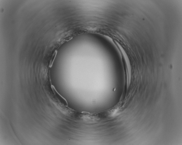 X0000088570568200706081101