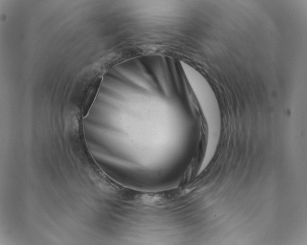 X0000088570570200706081101