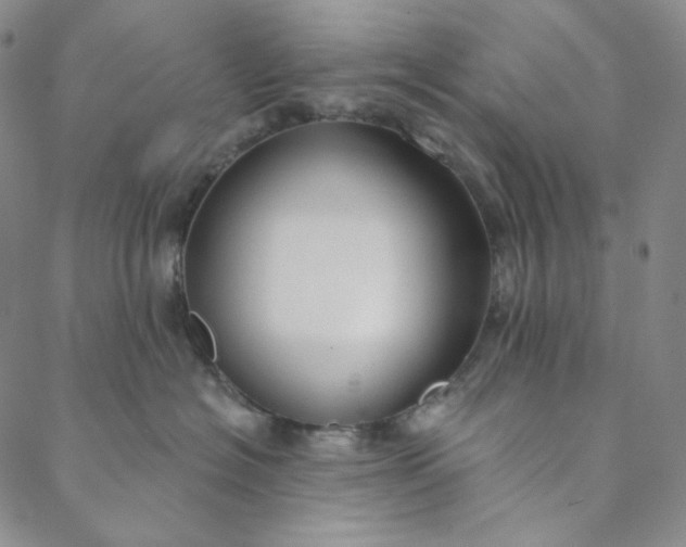 X0000088570574200706081101