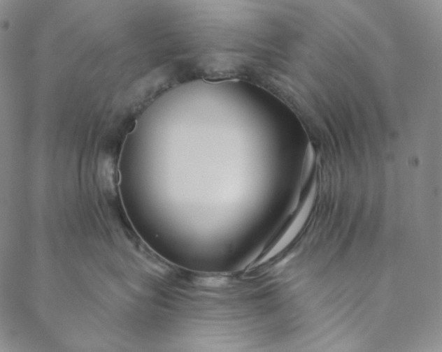 X0000088570575200706081101