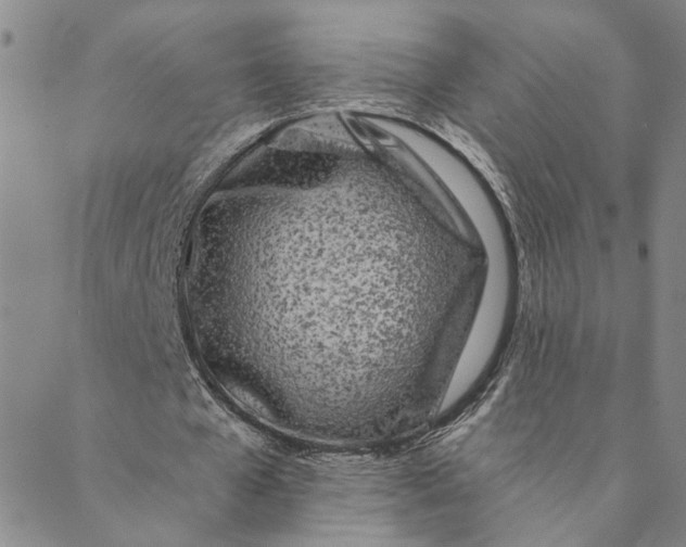 X0000088570577200706081100