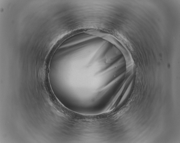 X0000088570580200706081100