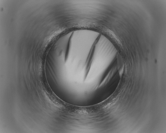 X0000088570588200706081100