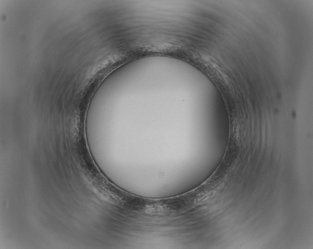 X0000088570591200706081100