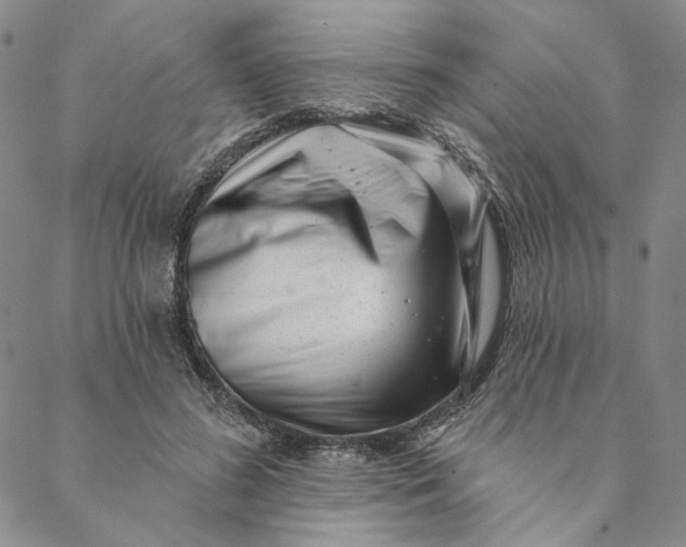 X0000088570596200706081100