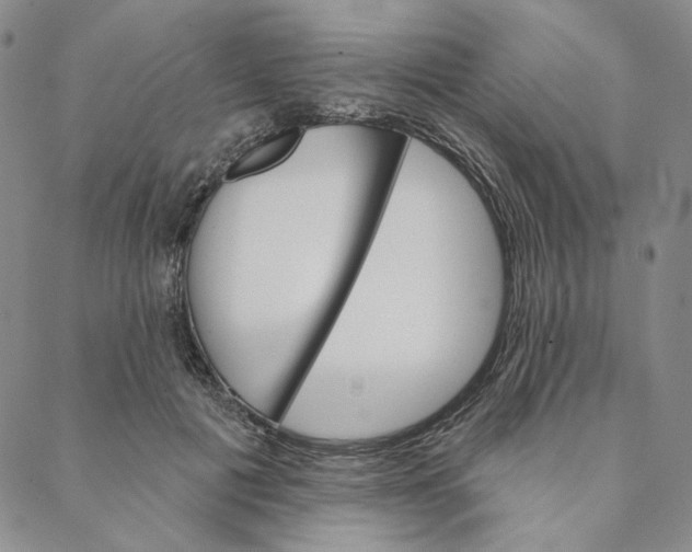 X0000088570601200706081100