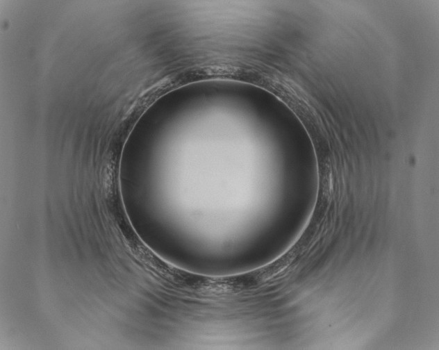 X0000088570604200706081100