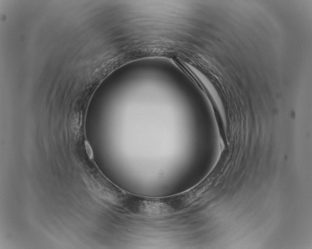 X0000088570605200706081100