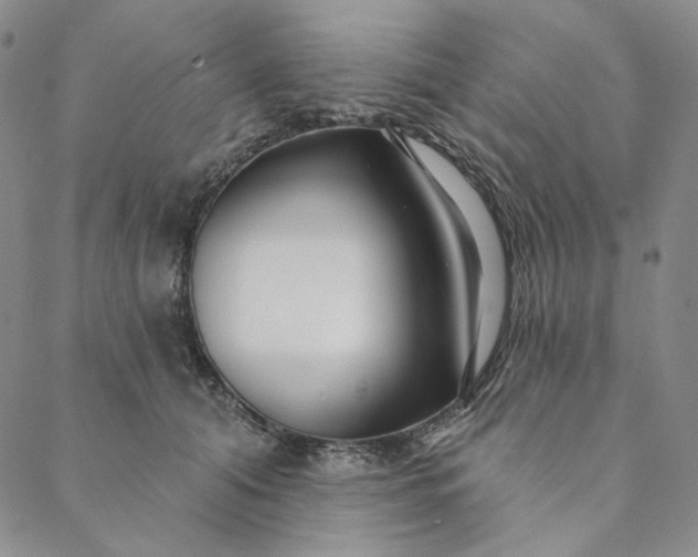 X0000088570608200706081100