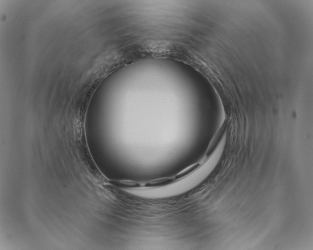 X0000088570609200706081100